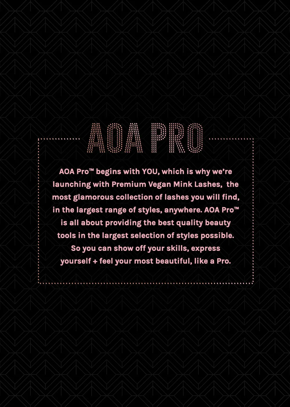 AOA Pro Magnetic Eyeshadow Palette - Black Small