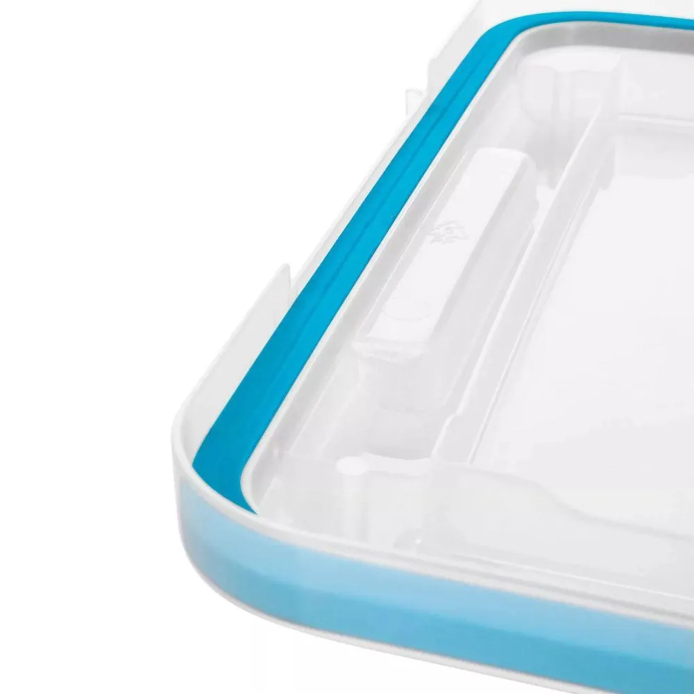 Sterilite 19L Airtight Storage Box