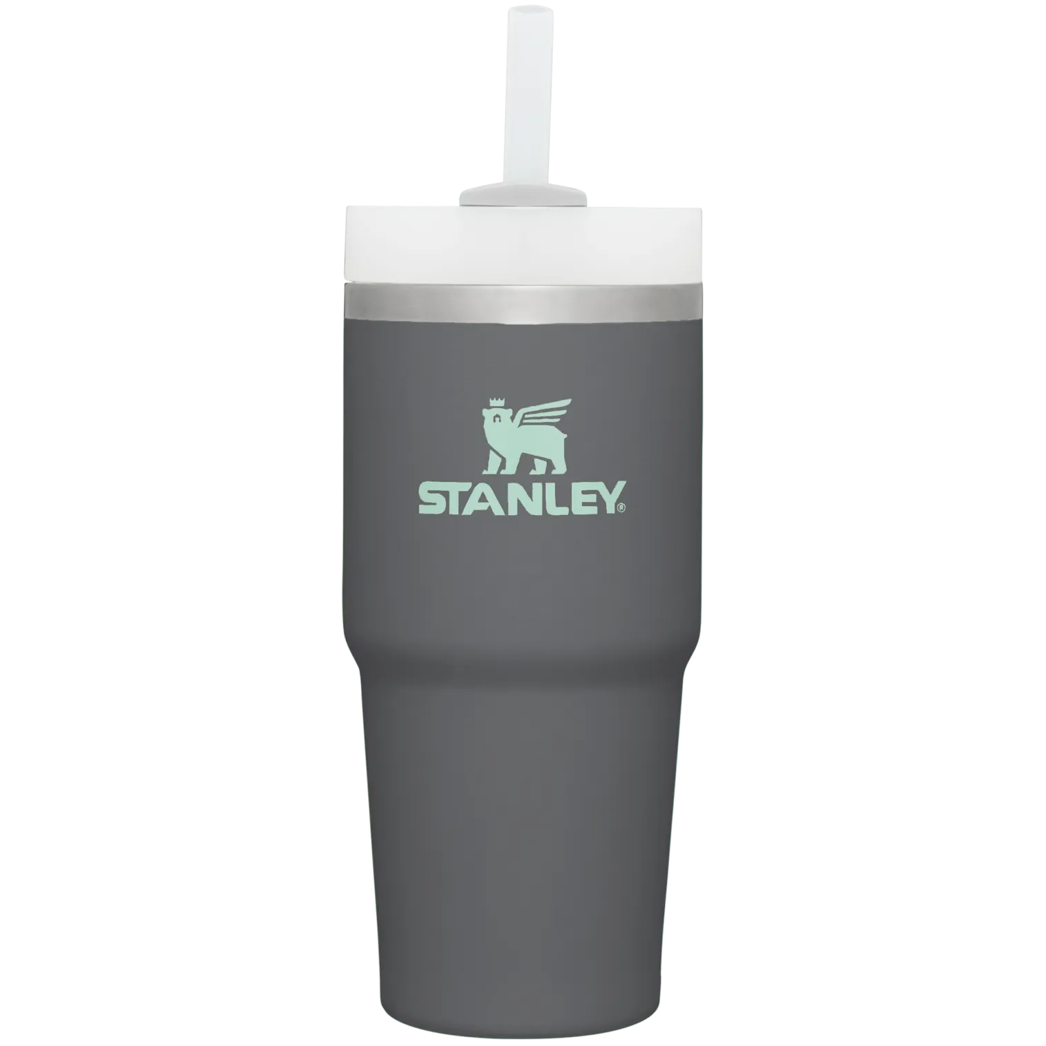 The Quencher H2.0 FlowState™ Tumbler  | 14 OZ - Stanley Create